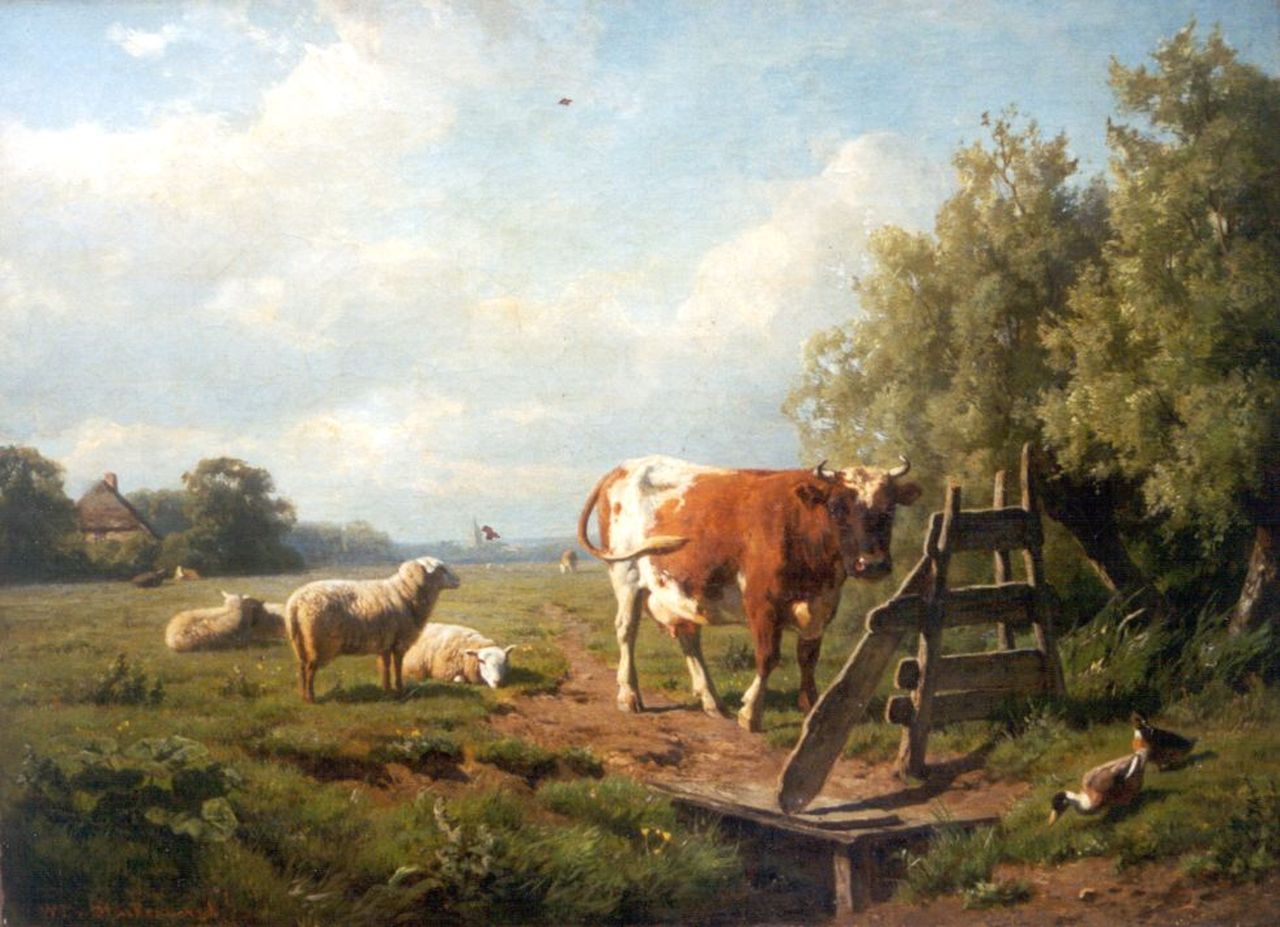 Tjarda van Starckenborgh Stachouwer W.  | jhr. Willem Tjarda van Starckenborgh Stachouwer, Cattle in a meadow, Öl auf Leinwand 50,8 x 69,9 cm, signed l.l.