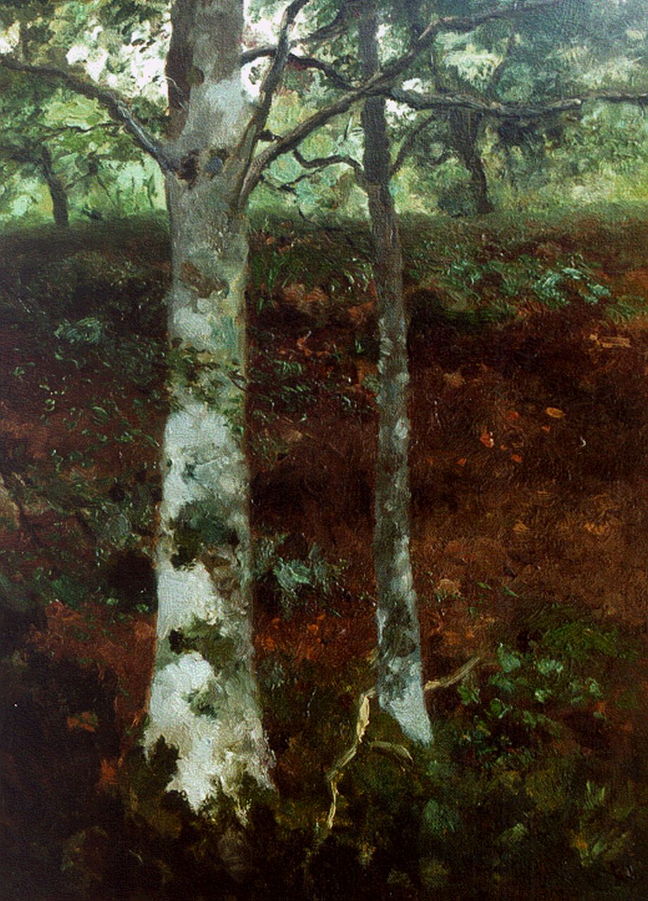 Weissenbruch H.J.  | Hendrik Johannes 'J.H.' Weissenbruch, Forest, Öl auf Leinwand auf Holz 40,4 x 28,9 cm, signed l.r.