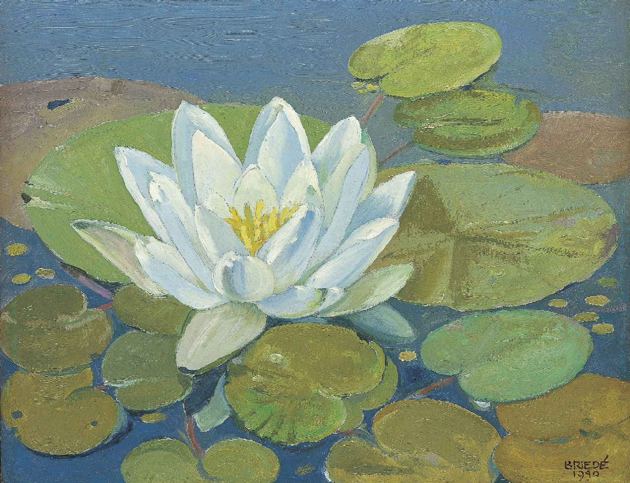 Briedé J.  | Johan Briedé, Water lily, 20,9 x 26,9 cm, signed l.r. und dated 1940