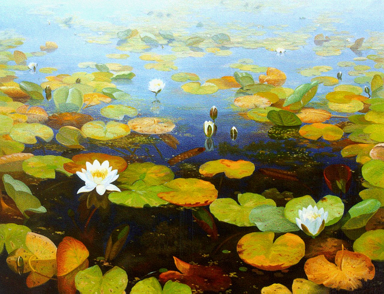 Smorenberg D.  | Dirk Smorenberg, Water lilies, Öl auf Leinwand 89,8 x 115,1 cm, signed l.r.