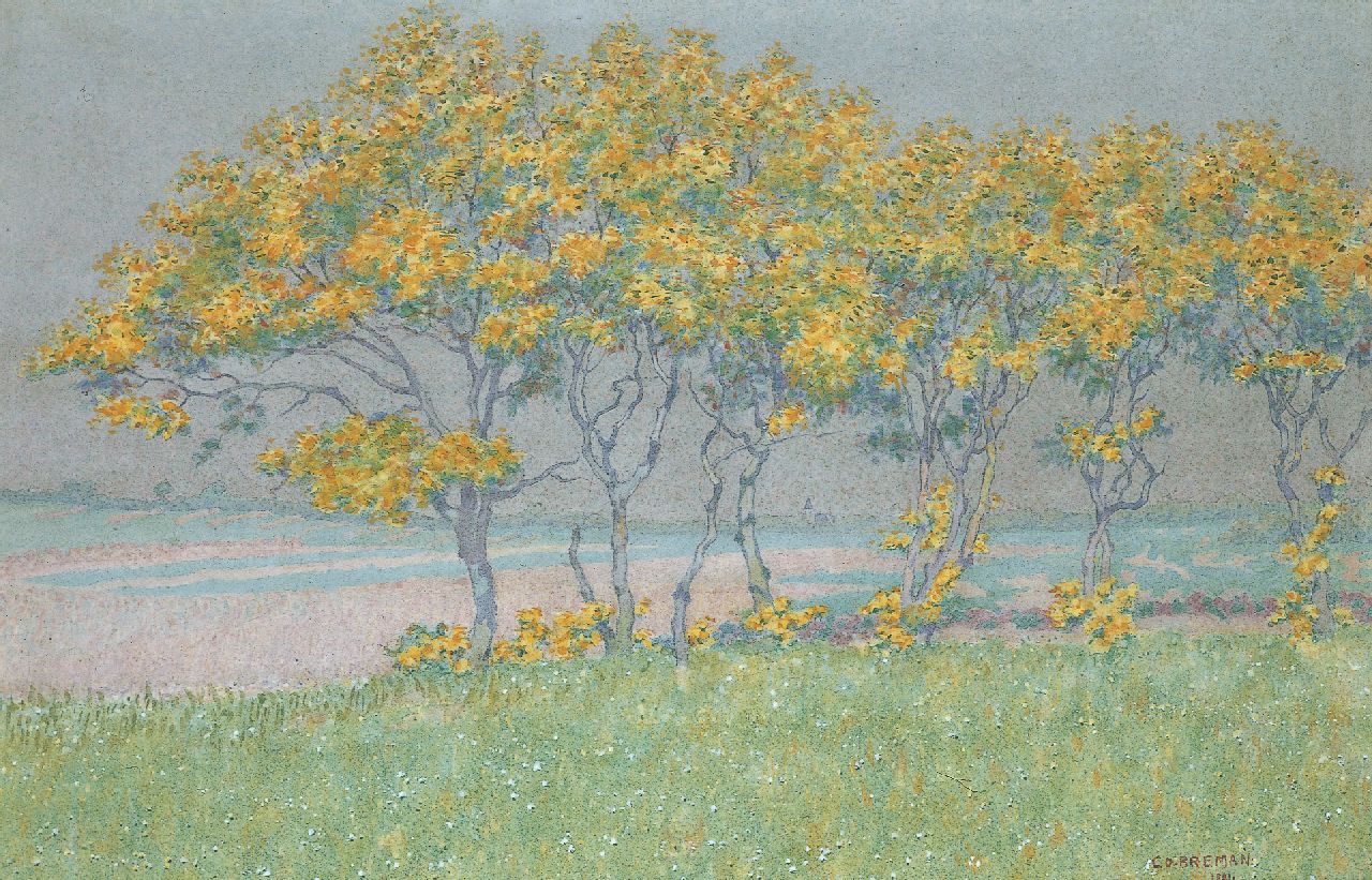 Breman A.J.  | Ahazueros Jacobus 'Co' Breman, Flowering Trees by Blaricum, Aquarell auf Papier 46,0 x 70,0 cm, signed l.r. und dated 1901