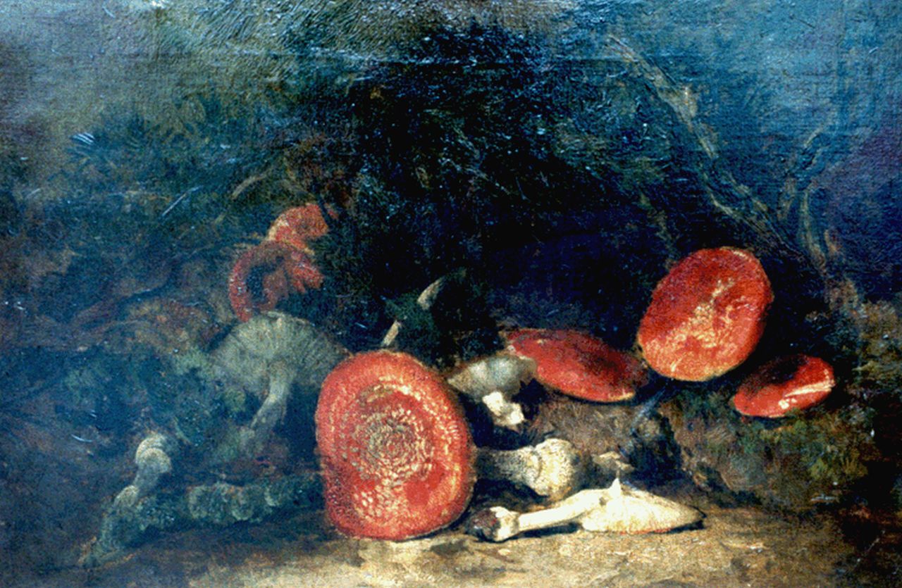 Goedvriend Th.F.  | Theodoor Franciscus 'Theo' Goedvriend, Red mushrooms, Öl auf Leinwand 85,6 x 55,6 cm, signed l.l.