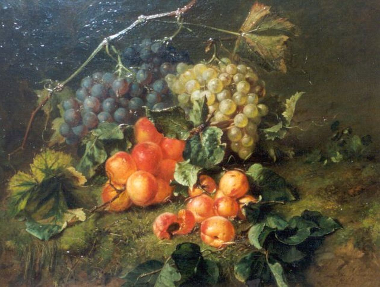 Haanen A.J.  | Adriana Johanna Haanen, A Still Life with Grapes and Abricots, Öl auf Leinwand 44,1 x 57,0 cm, signed l.r. und dated 1868
