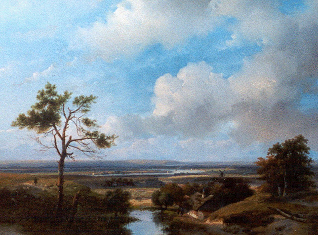 Schelfhout A.  | Andreas Schelfhout, A panoramic dune landscape in the surroundings of Haarlem, Öl auf Holz 42,7 x 56,0 cm, signed l.l.