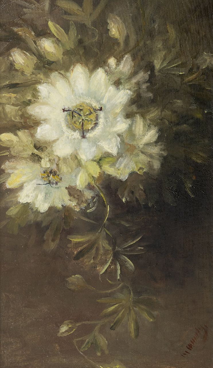 Marie Wuytiers | Passionsblume, Öl auf Leinwand, 51,4 x 30,2 cm, Unterzeichnet r.u.