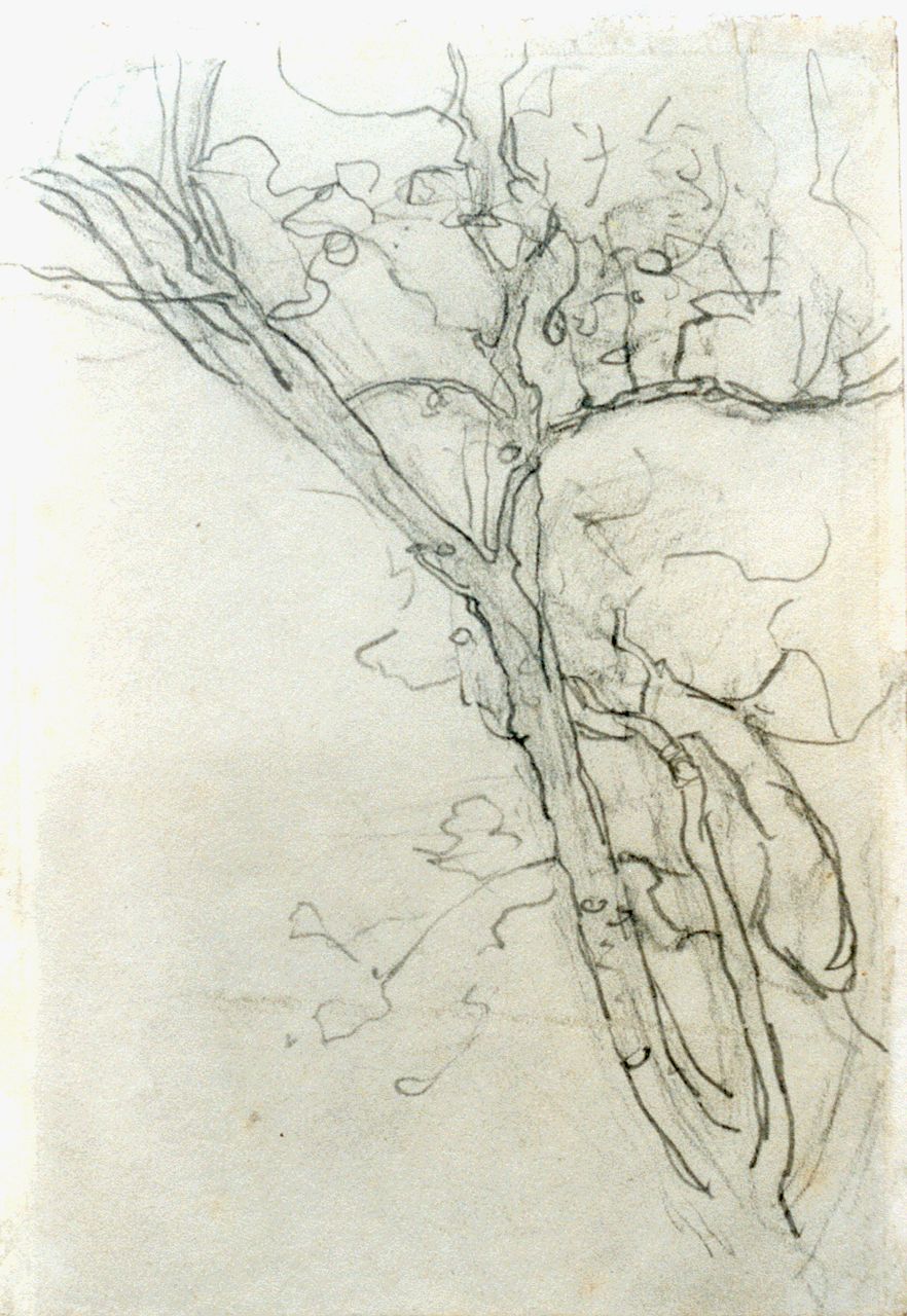 Mondriaan P.C.  | Pieter Cornelis 'Piet' Mondriaan, A branch, a study, Bleistift auf Papier 16,8 x 11,7 cm, painted circa 1905