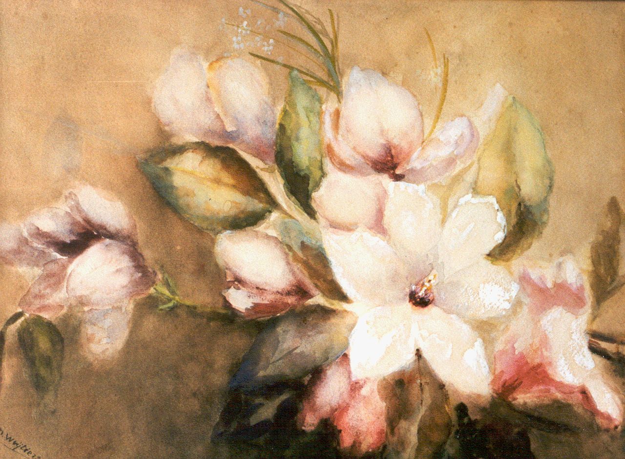 Wuytiers-Blaauw A.M.  | Anna Maria 'Marie' Wuytiers-Blaauw, Magnolia, Aquarell und Gouache auf Papier 39,5 x 54,0 cm, signed l.l.