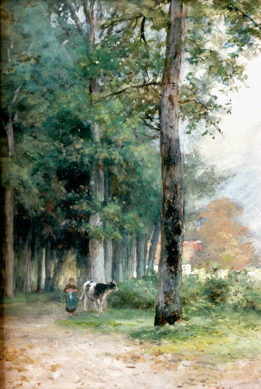 Schipperus P.A.  | Pieter Adrianus 'Piet' Schipperus, A drover with a cow, Aquarell auf Papier 34,5 x 23,5 cm, signed l.r.