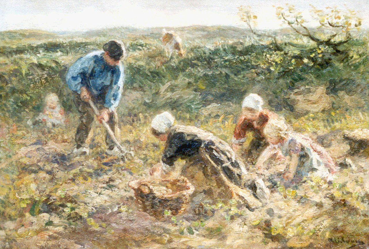 Zoetelief Tromp J.  | Johannes 'Jan' Zoetelief Tromp, Digging up potatoes, Öl auf Leinwand 34,3 x 50,2 cm