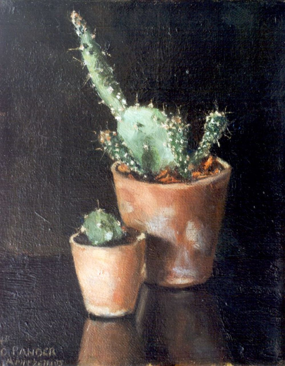 Arntzenius E.C.  | Elise Claudine Arntzenius, A cactus, Öl auf Leinwand 21,2 x 17,0 cm, signed l.l.