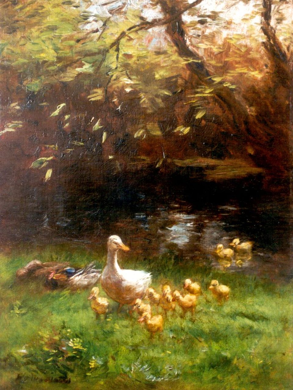 Maris W.  | Willem Maris, Duck with ducklings on the riverbank, Öl auf Leinwand 47,7 x 36,0 cm, signed l.l.