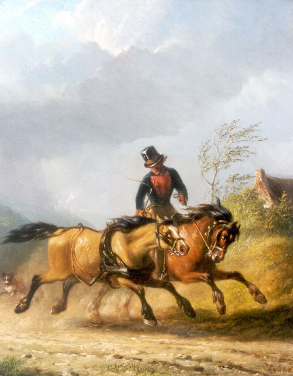 Os P.F. van | Pieter Frederik van Os, Untameable horse, Öl auf Holz 30,0 x 24,5 cm, signed l.r.
