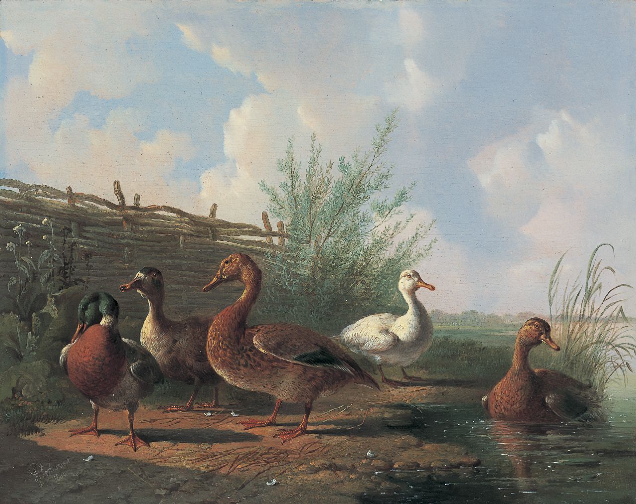 Verhoesen A.  | Albertus Verhoesen, Ducks on the riverbank, Öl auf Holz 27,0 x 34,1 cm, signed l.l. und dated 1860