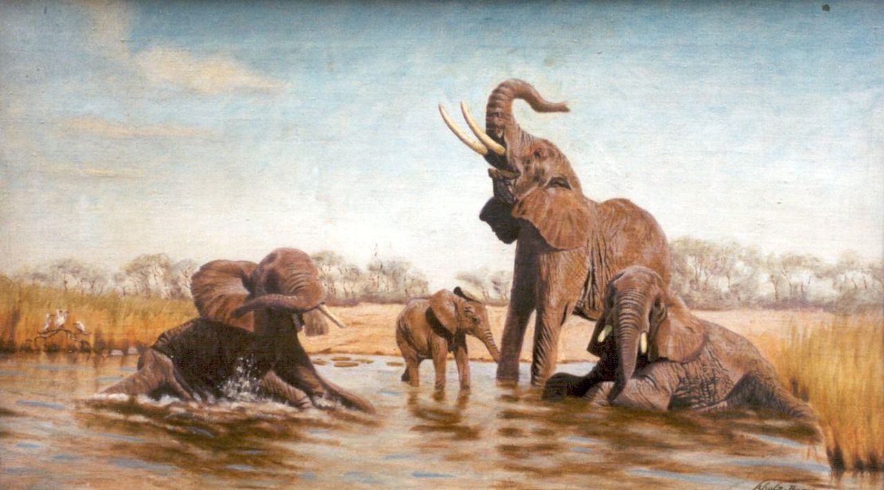 Rudolf Schulz-Borek | Elephants, Öl auf Leinwand, 37,5 x 64,8 cm, signed l.r.