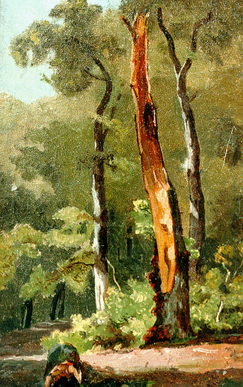 Borselen J.W. van | Jan Willem van Borselen, Study of trees, Öl auf Leinwand auf Holz 29,1 x 18,4 cm