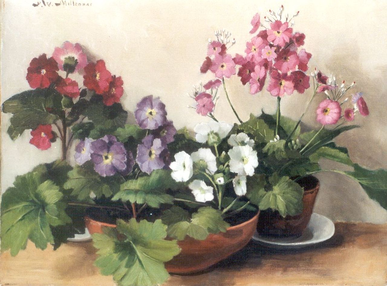 Millenaar P.W.  | Pieter Wilhelm Millenaar, Primroses, Öl auf Leinwand 30,1 x 39,9 cm, signed u.l.