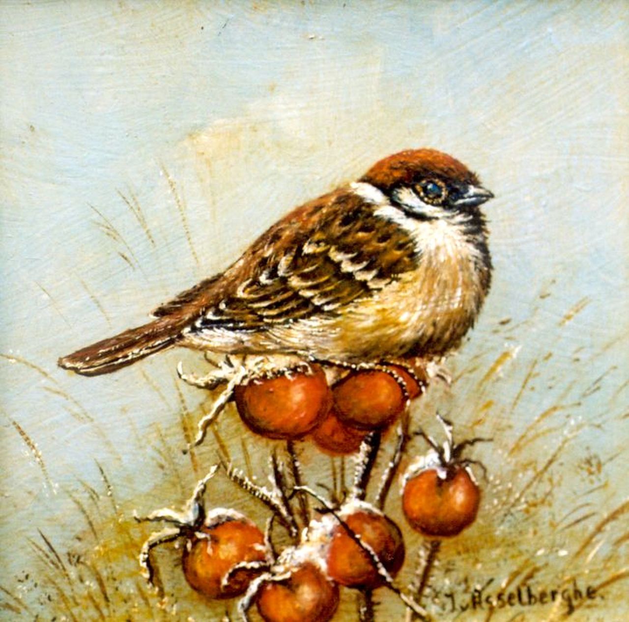 Asselberghe J. van | van Asselberghe, A Tree sparrow, Öl auf Holz 13,0 x 13,0 cm, signed l.r.
