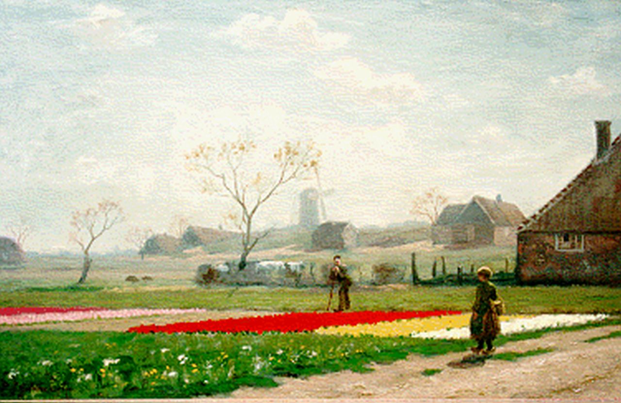 Gildemeester A.  | Anna Gildemeester, A bulb field, Öl auf Leinwand 46,0 x 72,0 cm, signed l.l.