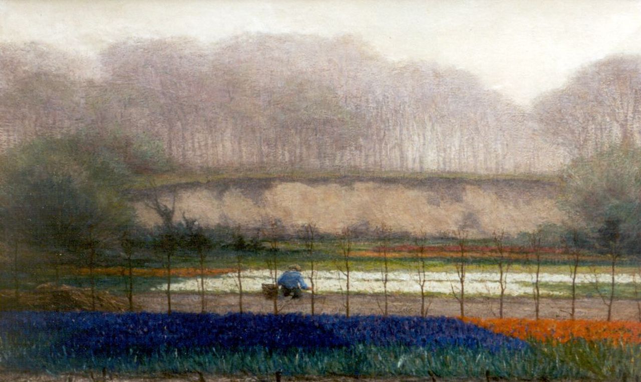 Bleckmann W.C.C.  | Wilhelm Christiaan Constant Bleckmann, Bulb fields, Öl auf Leinwand 53,5 x 83,5 cm, signed l.r.