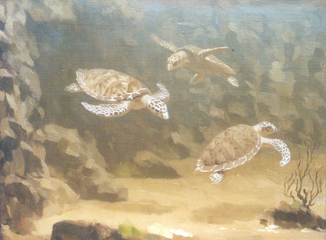 Dijsselhof G.W.  | Gerrit Willem Dijsselhof, Turtles, Öl auf Leinwand 20,7 x 26,7 cm