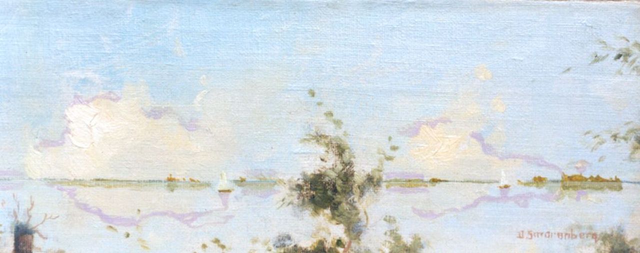 Smorenberg D.  | Dirk Smorenberg, The Loosdrechtse Plassen, Öl auf Leinwand auf Holz 11,2 x 28,7 cm, signed l.r.