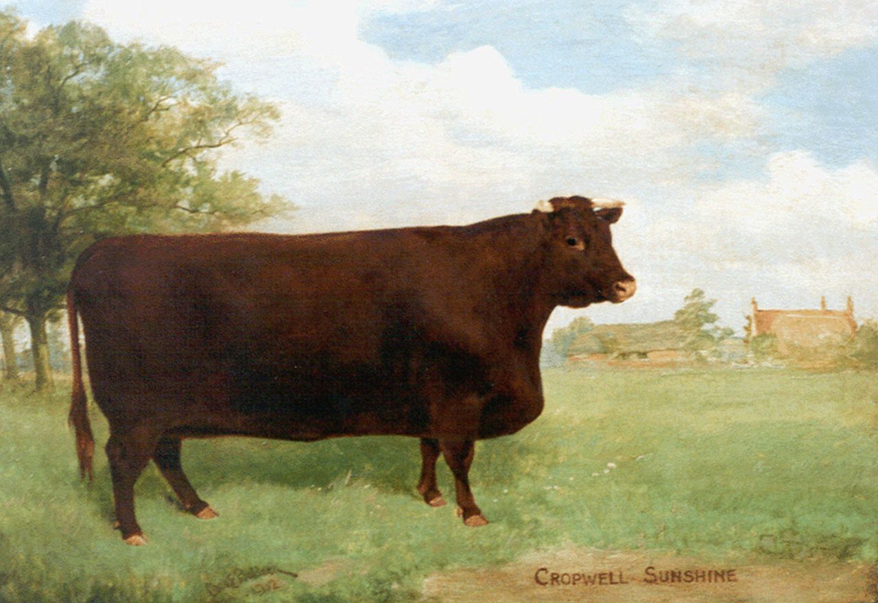 Baldock C.E.M.  | Charles Edwin M. Baldock, Cropwell Sunshine, portrait of a cow, Öl auf Leinwand 30,5 x 43,3 cm, signed l.l. und datiert 1901