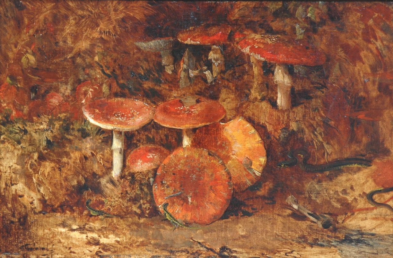Goedvriend Th.F.  | Theodoor Franciscus 'Theo' Goedvriend, Fly agarics in the woods, Öl auf Leinwand 56,4 x 85,8 cm, signed l.l.