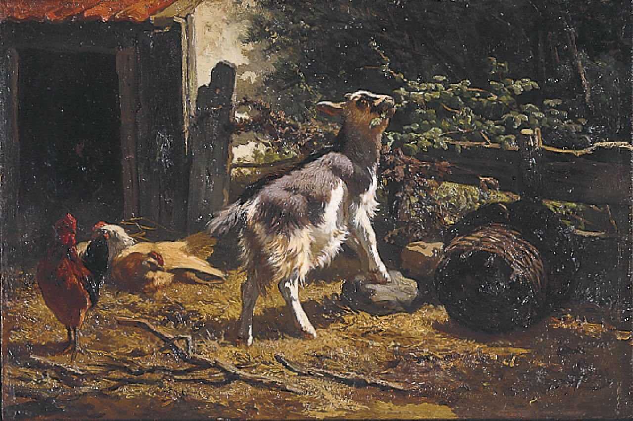 Bos G.J.  | Gerardus Johannes Bos, A young goat, Öl auf Holz 21,6 x 32,4 cm, signed l.r.