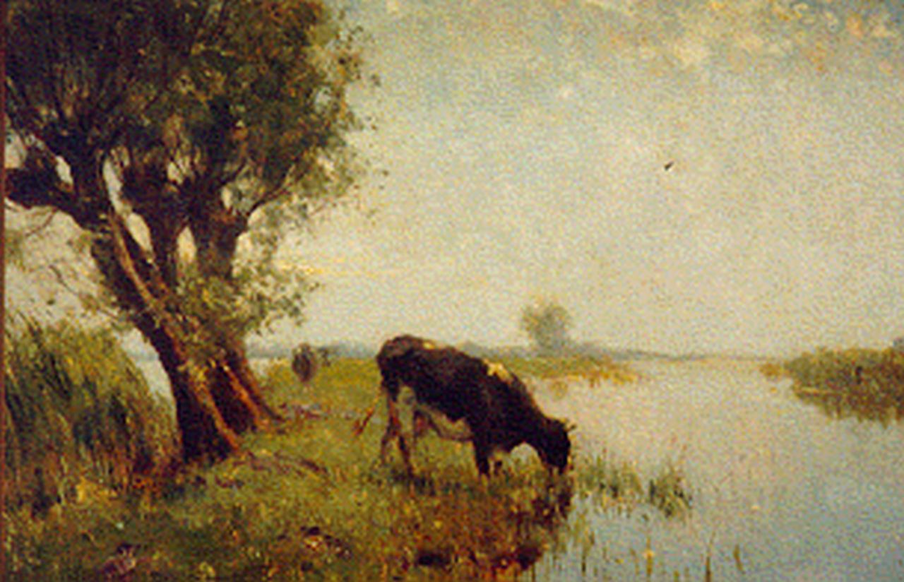 Altmann G.  | Gerard Altmann, Cow in a meadow, Öl auf Leinwand 50,0 x 40,0 cm, signed signed l.l.