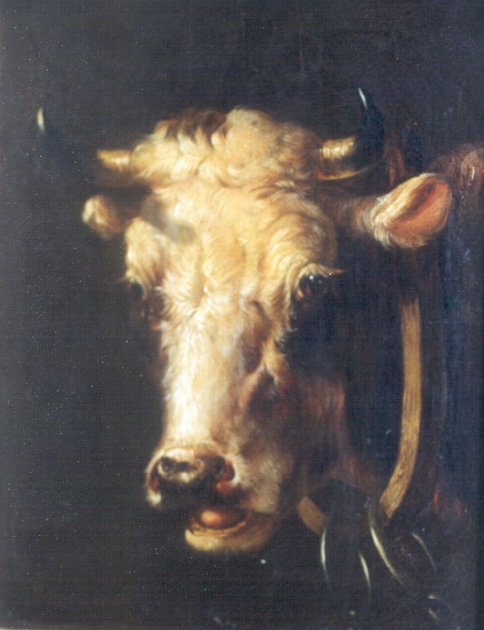 Verhoesen A.  | Albertus Verhoesen, A bull's head, Öl auf Holz 17,1 x 13,7 cm, signed l.l.