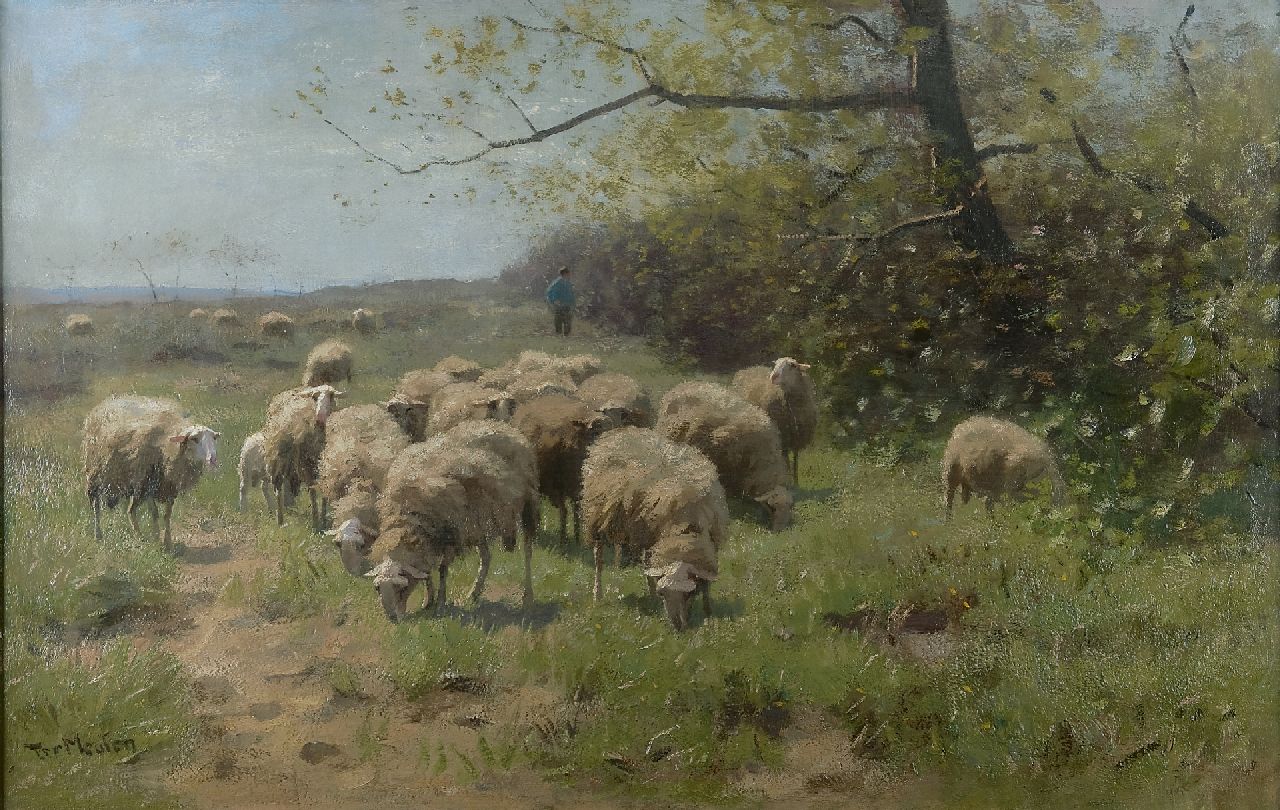 Meulen F.P. ter | François Pieter ter Meulen, Weidende Schafe in Landschaft auf der Veluwe, Öl auf Leinwand 67,5 x 104,7 cm, Unterzeichnet l.u.