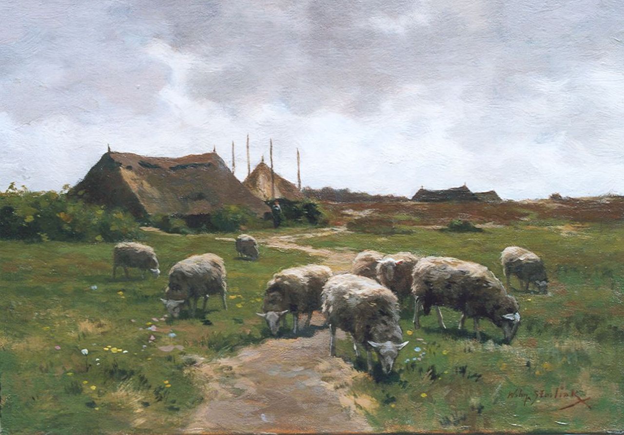 Steelink jr. W.  | Willem Steelink jr., Sheep grazing near the heath, Öl auf Leinwand 26,6 x 38,0 cm, signed l.r.