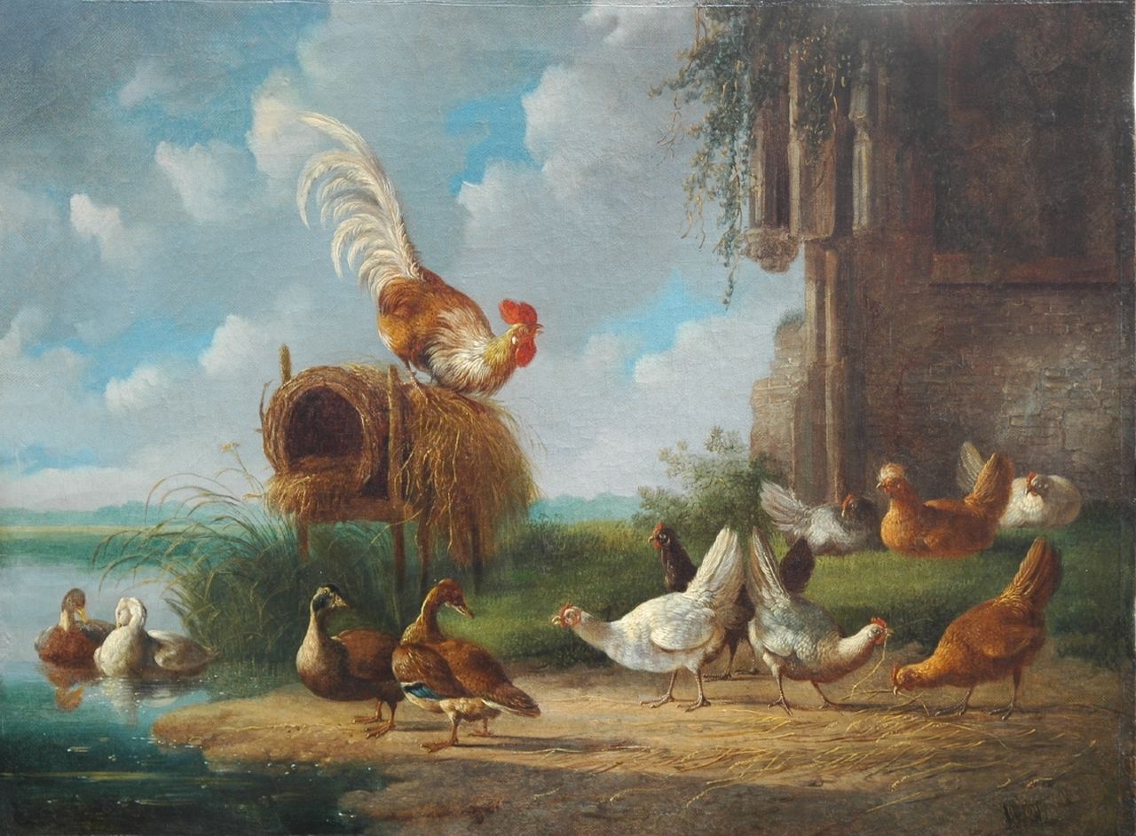Verhoesen A.  | Albertus Verhoesen, A rooster with chickens and ducks at the waterside, Öl auf Leinwand 34,7 x 46,5 cm, signed l.r.