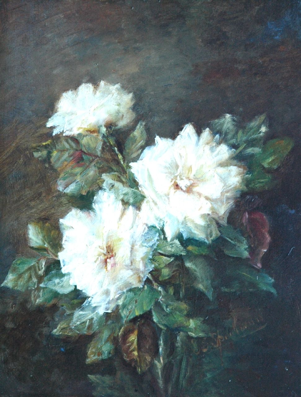 Sophie Speelman | Tea roses, Öl auf Holz, 45,2 x 35,0 cm, signed l.r.