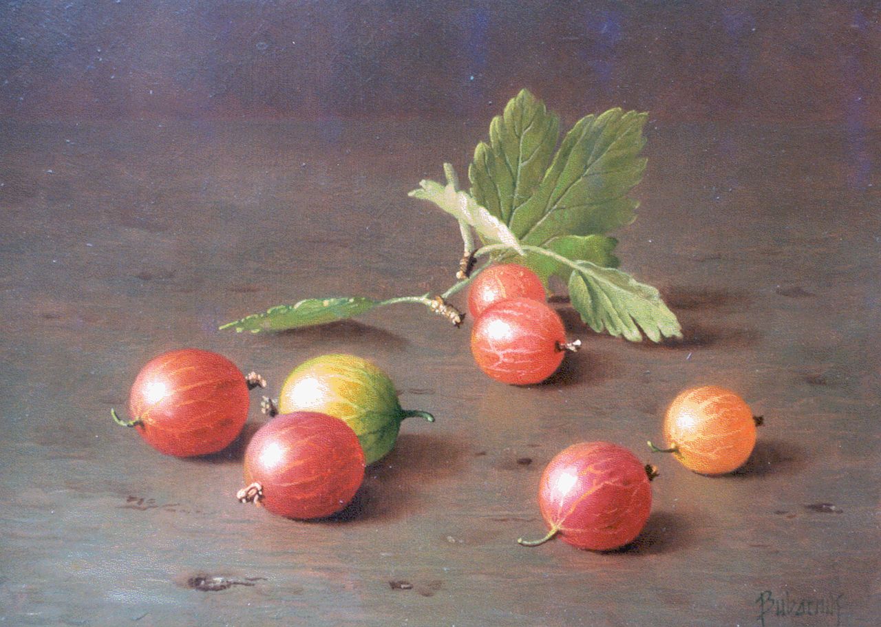 Bubarnik G.  | Gyula Bubarnik, Still life with gooseberries, Öl auf Holz 13,0 x 18,0 cm, signed l.r.