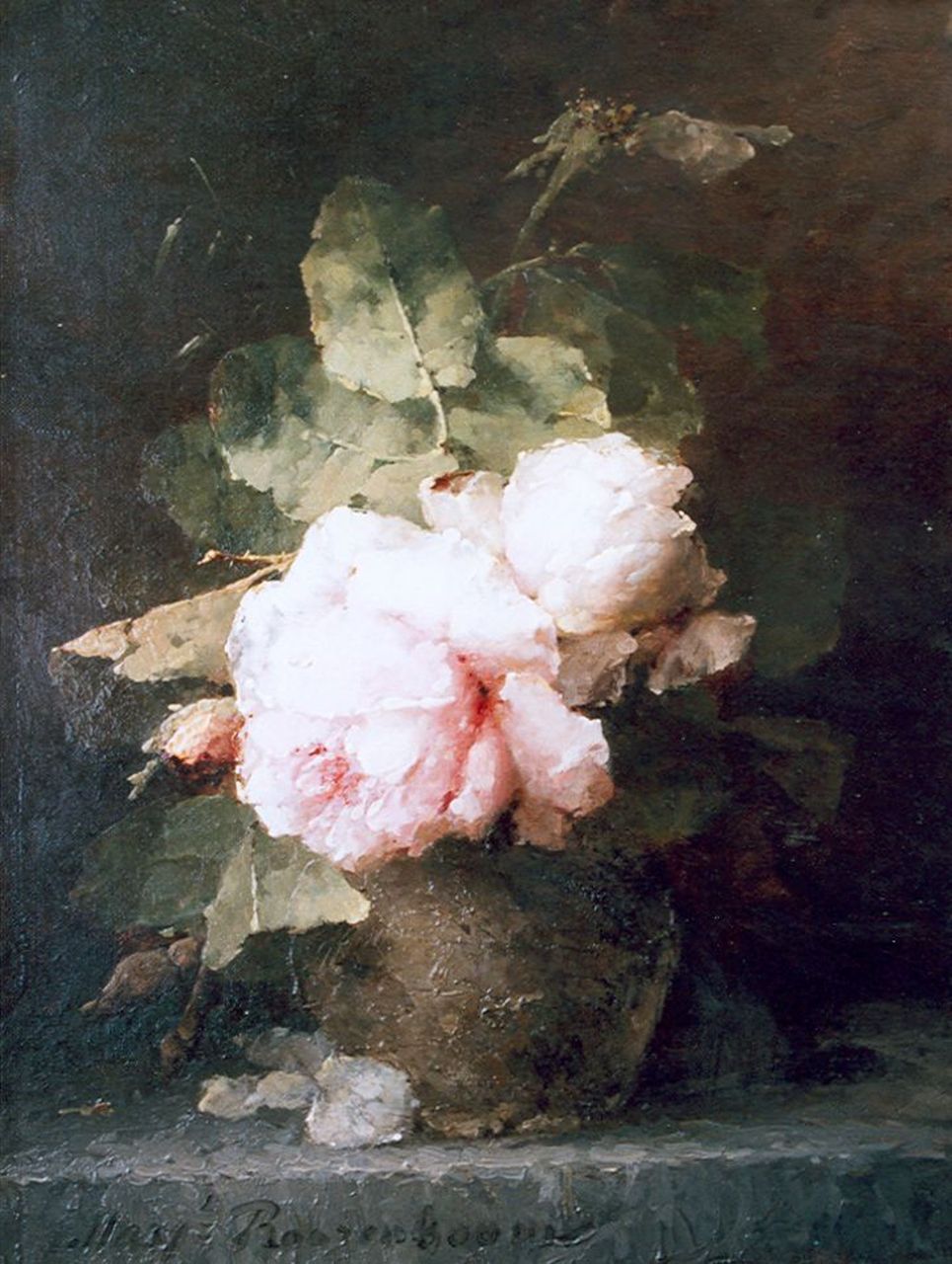 Roosenboom M.C.J.W.H.  | 'Margaretha' Cornelia Johanna Wilhelmina Henriëtta Roosenboom, Pink roses, Öl auf Leinwand 39,7 x 30,0 cm, signed l.l.