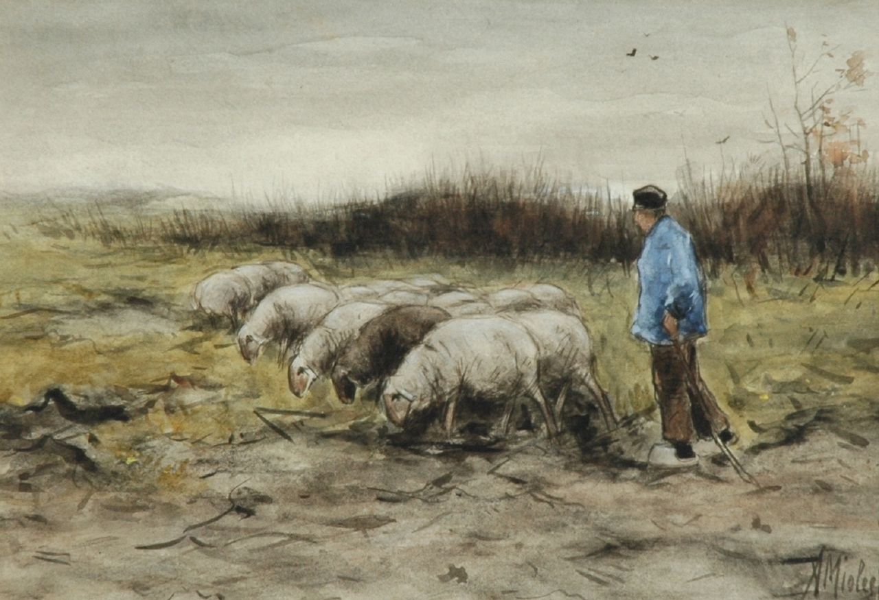 Miolée A.  | Adrianus 'Adriaan' Miolée, A shepherd with his flock of sheep, Aquarell auf Papier 21,5 x 31,0 cm, signed l.r.