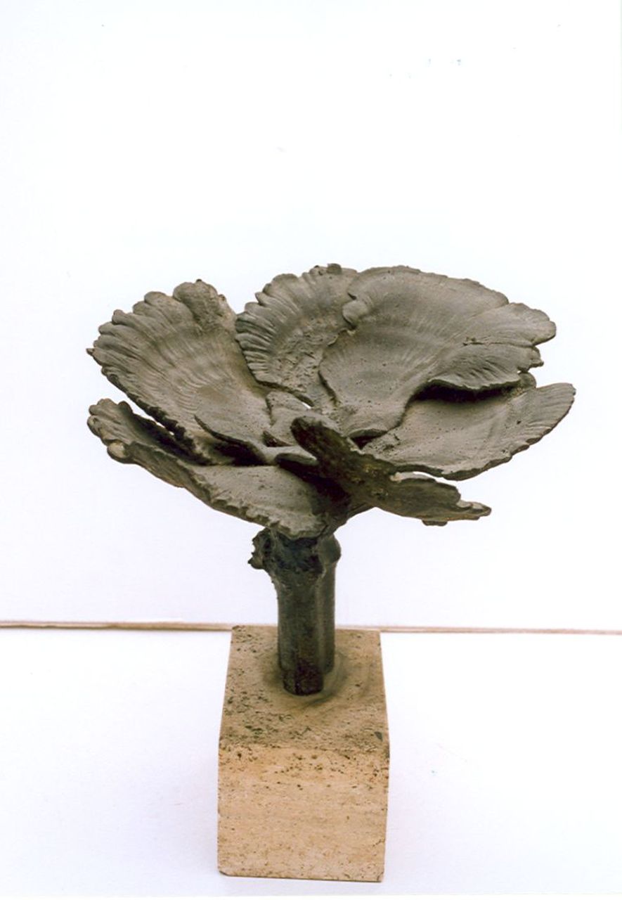 Starreveld P.  | Pieter Starreveld, Schmetterlingsporling, Bronze 30,0 x 29,9 cm