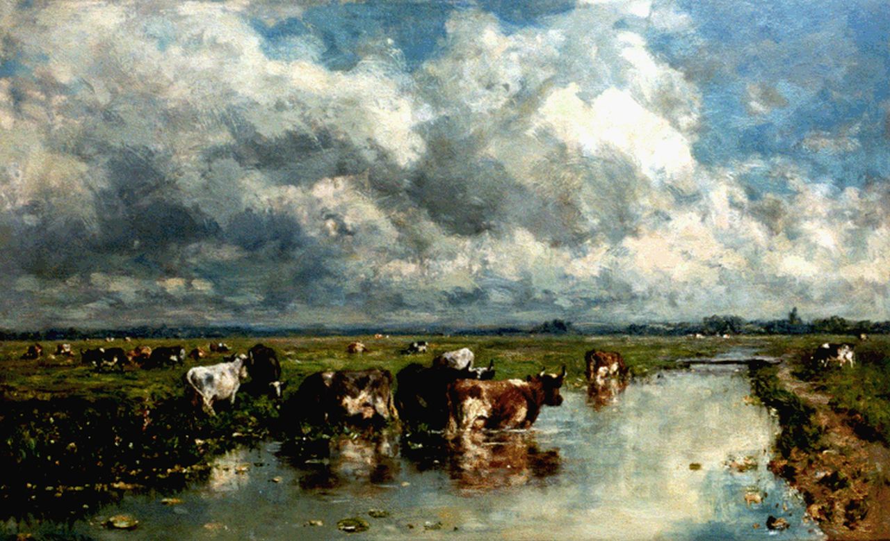 Roelofs W.  | Willem Roelofs, Polder landscape with cows, Öl auf Leinwand 49,5 x 80,0 cm, signed l.l.
