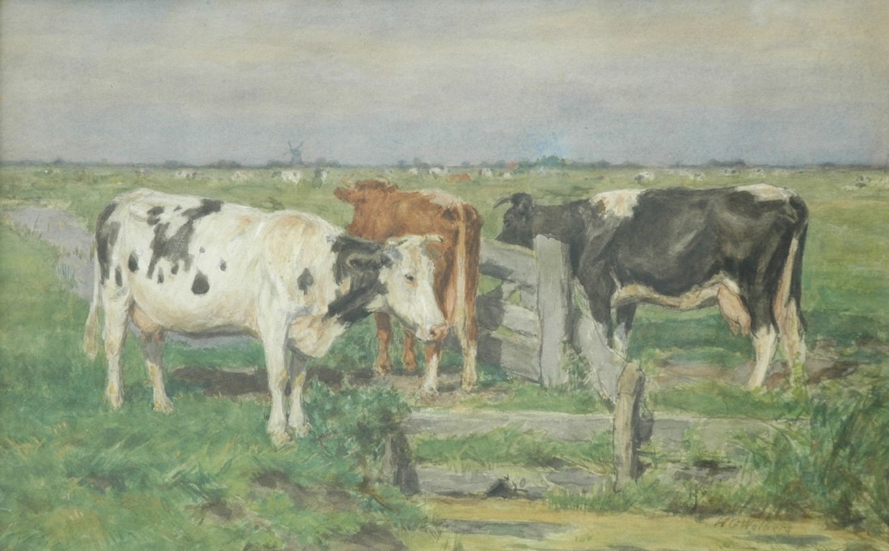 Wolbers H.G.  | Hermanus Gerhardus 'Herman' Wolbers, Cows near a fence, Aquarell auf Papier 35,0 x 54,5 cm, gesigneerd rechtsonder