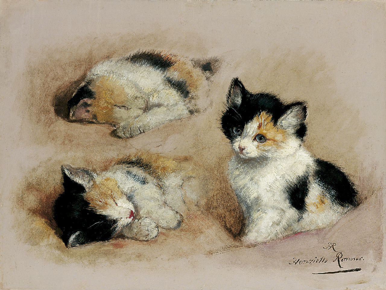 Ronner-Knip H.  | Henriette Ronner-Knip, Study of a kitten, Öl auf Papier auf Holz 27,1 x 36,1 cm, signed l.r. with initials and in full