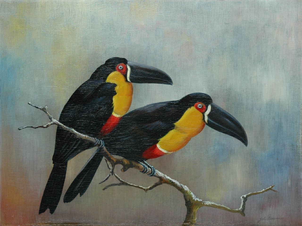 Pieneman J.H.  | 'Johanna' Hendrika Pieneman, Two toucans, Öl auf Holz 30,1 x 40,1 cm, signed l.r.