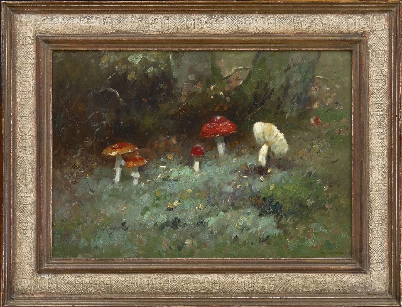 Knikker A.  | Aris Knikker, Pilze im Wald, Öl auf Leinwand 35,2 x 50,3 cm, Unterzeichnet r.u.