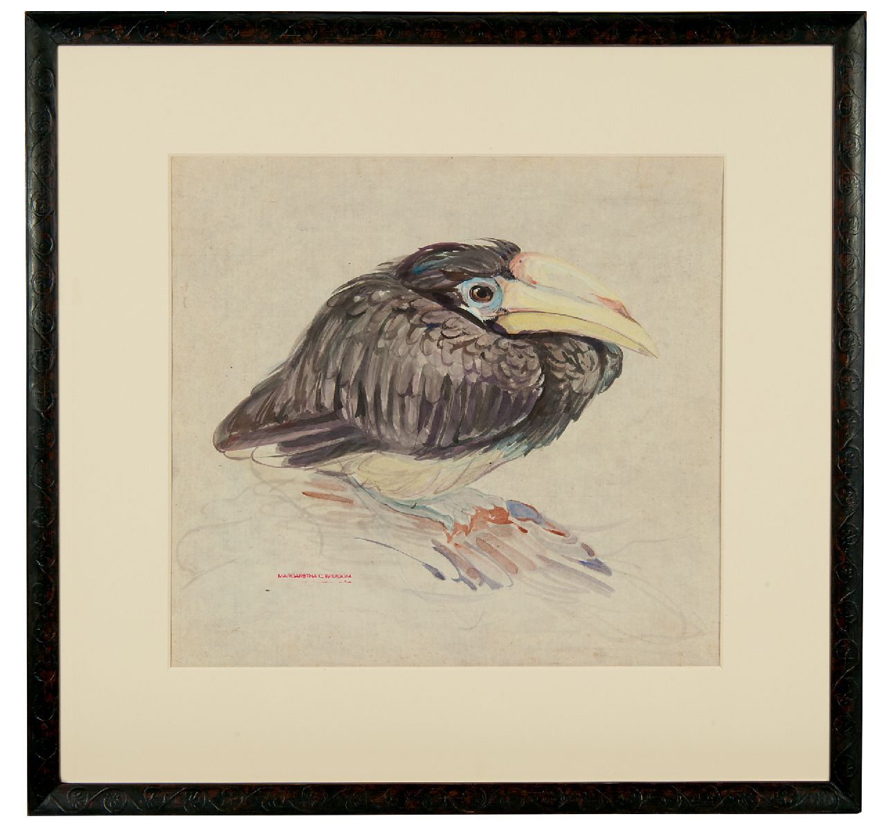 Bruigom M.C.  | Margaretha Cornelia 'Greta' Bruigom, Ein junger Nashornvogel, Aquarell auf Papier 32,4 x 35,5 cm, Unterzeichnet l.u. mit Namenstempel