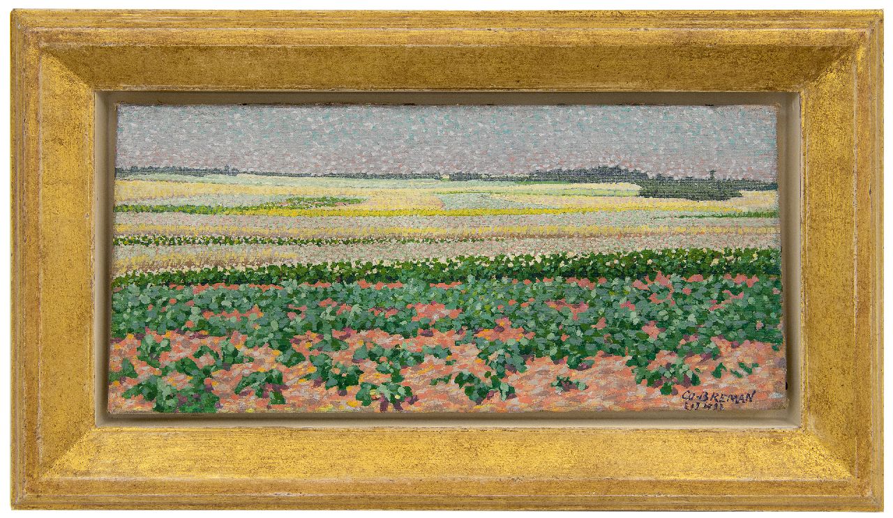 Breman A.J.  | Ahazueros Jacobus 'Co' Breman, Sommerlandschaft mit Kartoffel- und Buchweizenfeldern in der Gegend  Gooi, Öl auf Leinwand 18,7 x 40,5 cm, Unterzeichnet u.r. und datiert ' L 1 7 1903'