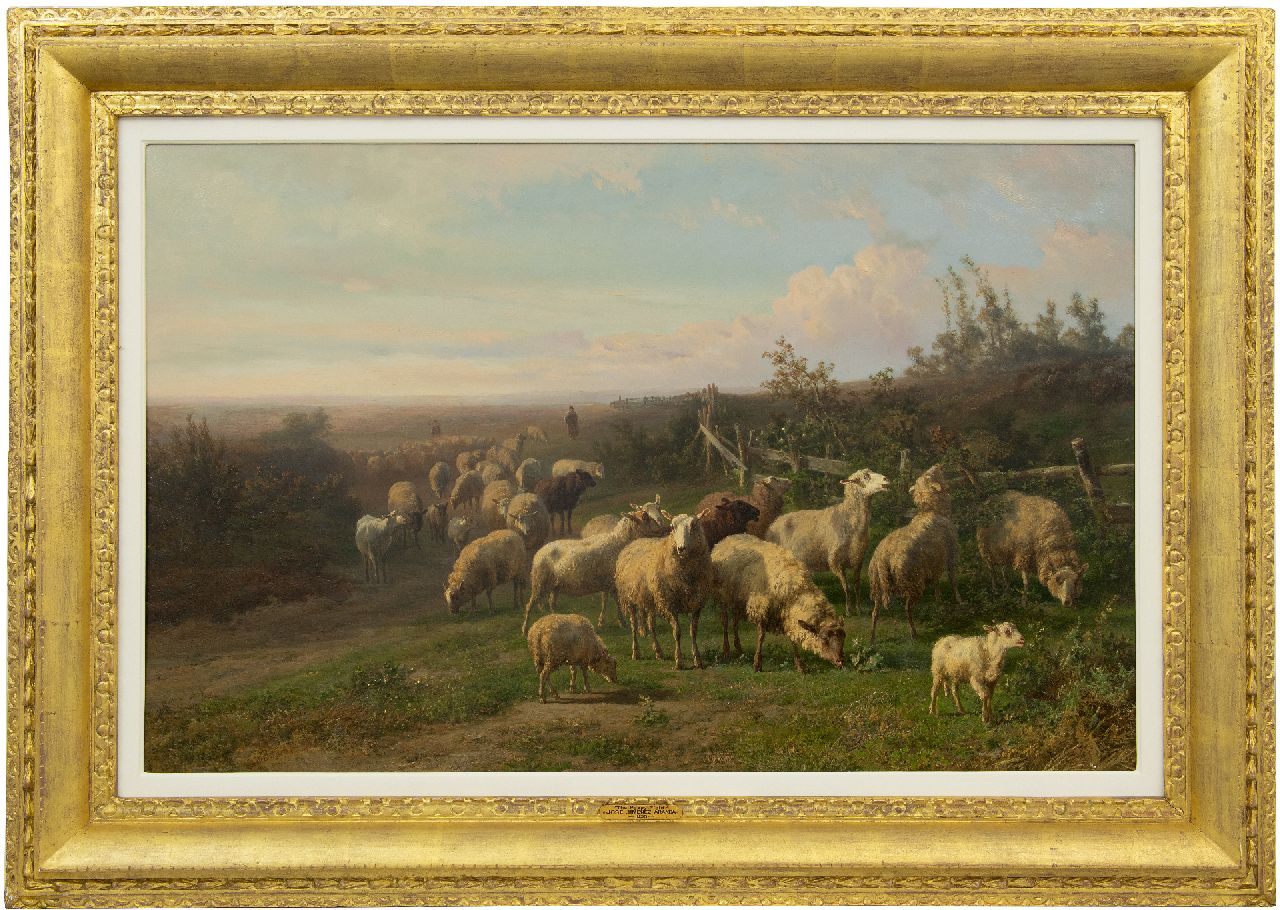 Tom J.B.  | Jan Bedijs Tom, Schafsherde in weite Heidelandschaft, Öl auf Holz 60,3 x 94,0 cm, Unterzeichnet u.l.
