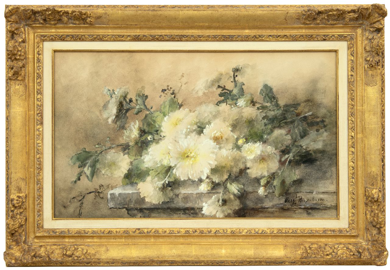 Roosenboom M.C.J.W.H.  | 'Margaretha' Cornelia Johanna Wilhelmina Henriëtta Roosenboom | Aquarelle und Zeichnungen zum Verkauf angeboten | Weisse Chrysanthemen auf einer Steinleiste, Aquarell auf Papier 44,6 x 74,9 cm, Unterzeichnet u.r.