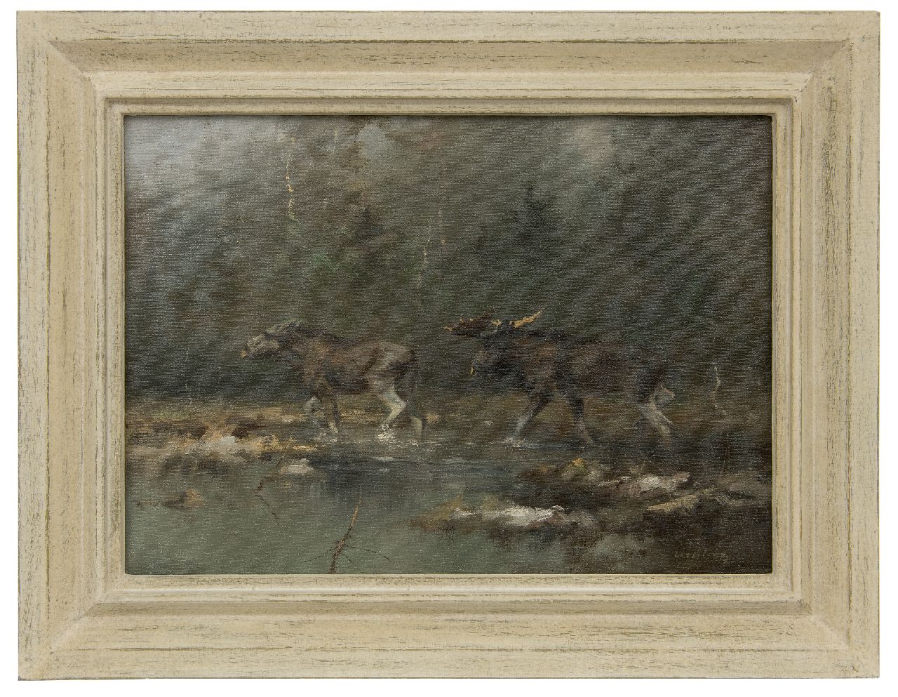 Schatz M.  | Manfred Schatz | Gemälde zum Verkauf angeboten | Elchenpärchen am Fluss, Öl auf Leinwand 40,0 x 55,6 cm, Unterzeichnet u.r.