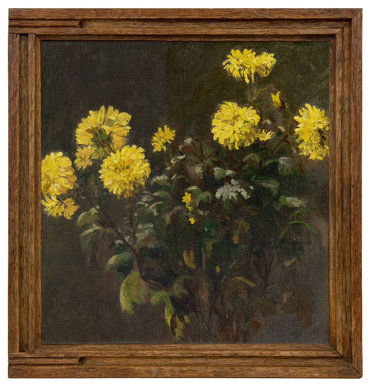Windt Ch. van der | Christophe 'Chris' van der Windt | Gemälde zum Verkauf angeboten | Chrysanthemen, Öl auf Leinwand 43,4 x 42,0 cm, Unterzeichnet u.l.