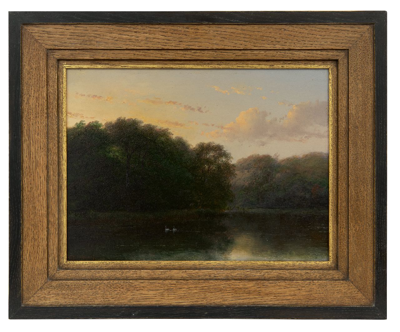 Schelfhout A.  | Andreas Schelfhout | Gemälde zum Verkauf angeboten | Zwei Schwäne im Teich im Haagse Bos, Öl auf Holz 24,0 x 32,6 cm, Unterzeichnet u.l.